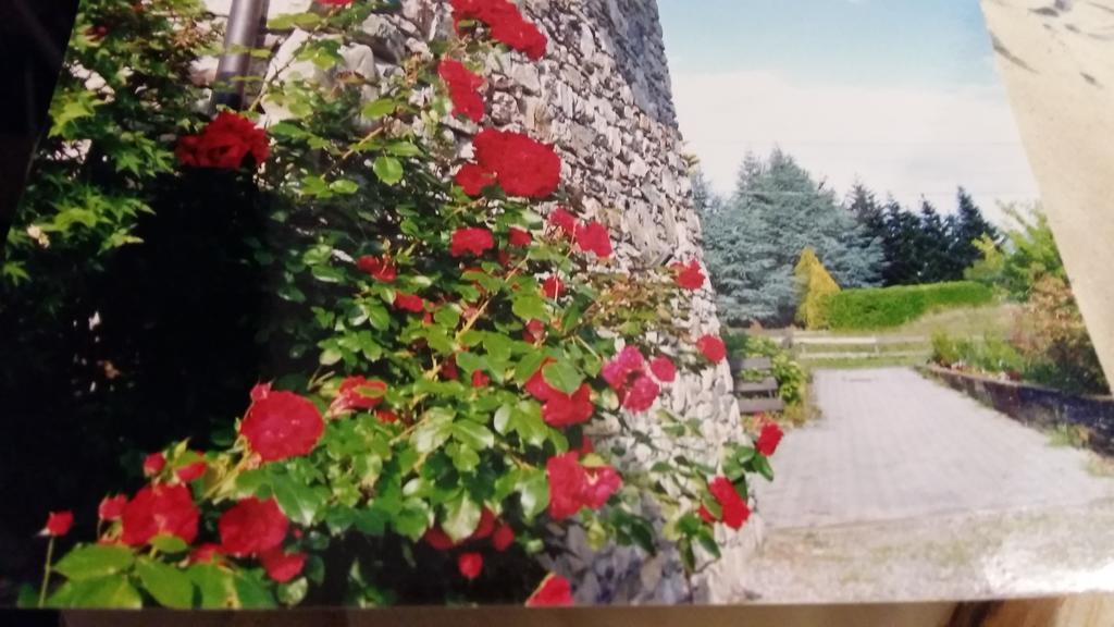 Casa San Martino Βίλα Teglio Εξωτερικό φωτογραφία